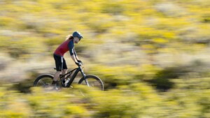 5 rád ako si vybrať správny bicykel na cyklovýlet